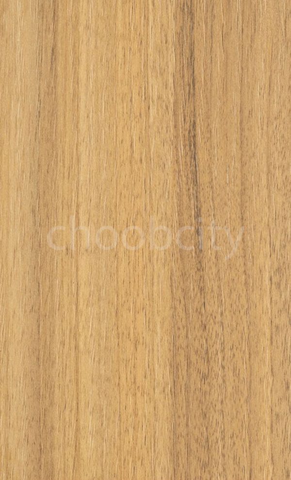 ام دی اف سیتک 210 لیون روشن