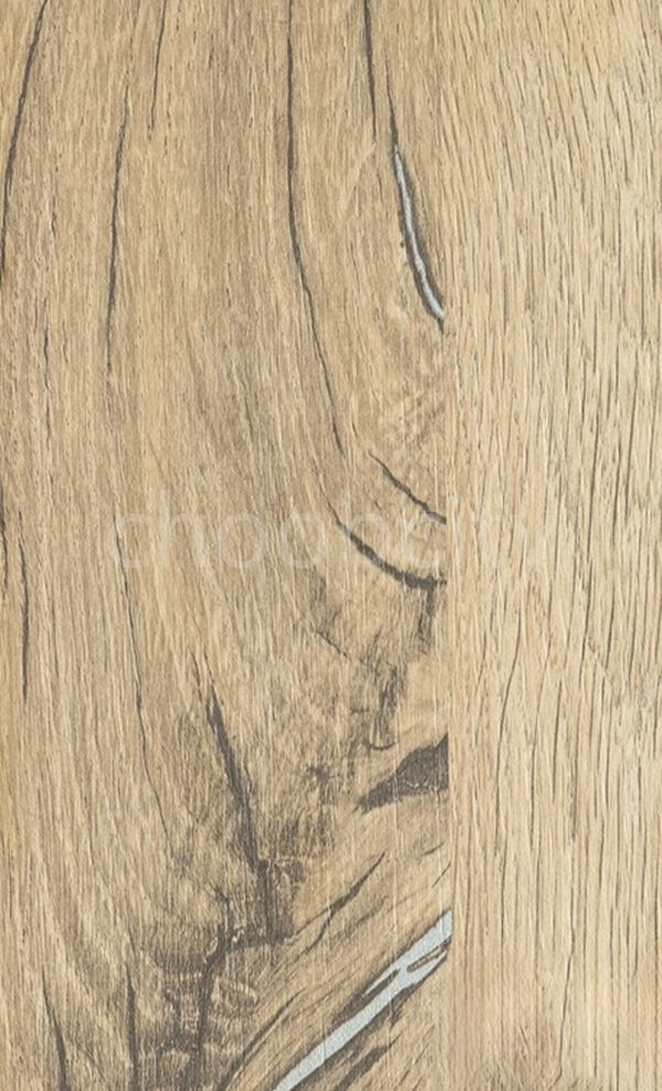 ام دی اف سیتک 216 فلگ استاف اوک 3