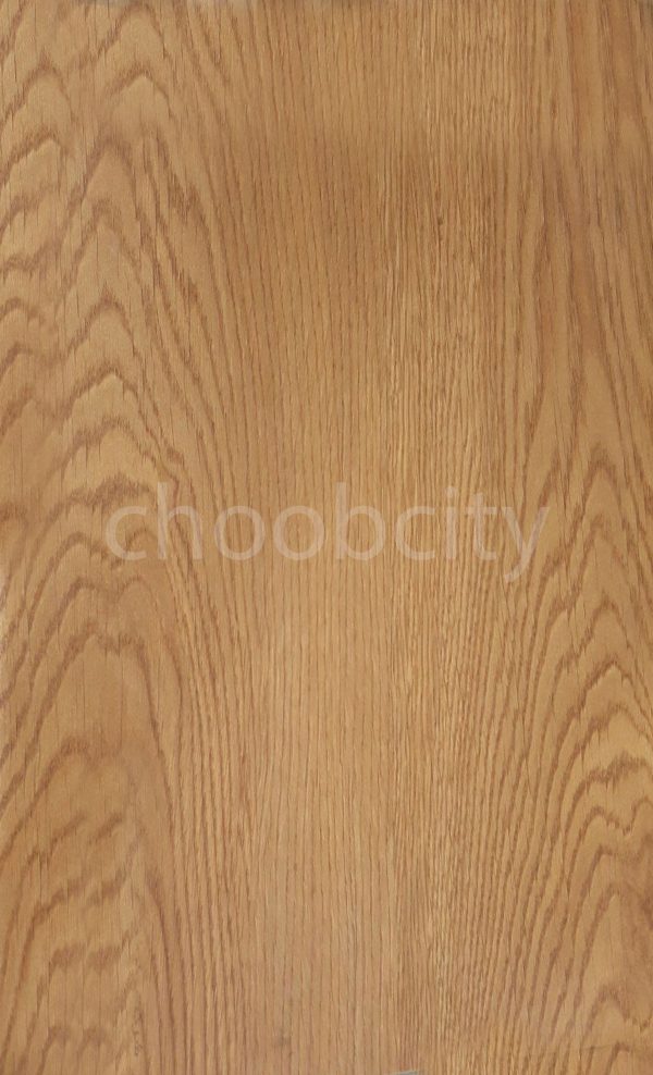 صفحه کابینت درخت سبز 1364