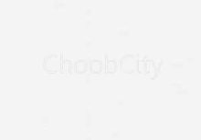 صفحه کابینت درخت سبز 8150 سفید کنفی