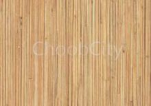 صفحه کابینت درخت سبز 3076 نیزار انزلی