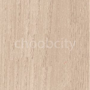 ام دی اف تیسان T290 آگرا1