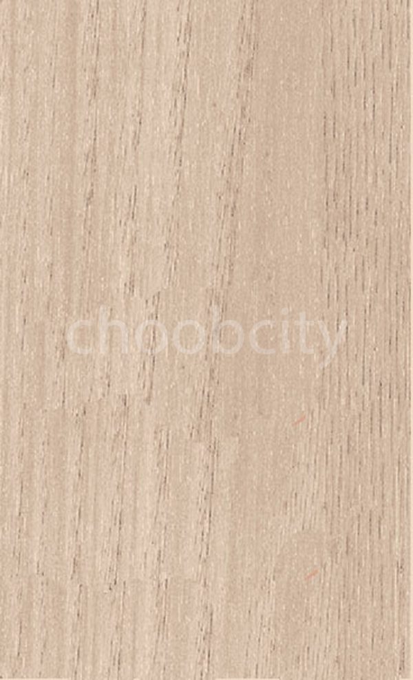 ام دی اف تیسان T290 آگرا1