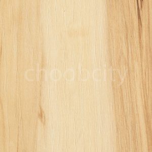 ام دی اف سیتک 203 بالتیمور کرم