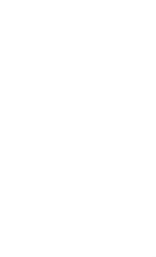 ام دی اف بارشین سفید تاپ مات - TopMatt White