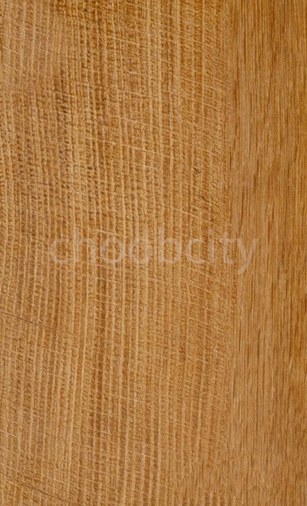 ام دی اف سیتک 228 ممرز هیرکانی1