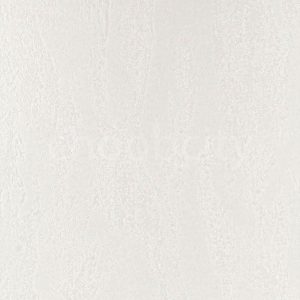 ام دی اف ویسپان CT2429